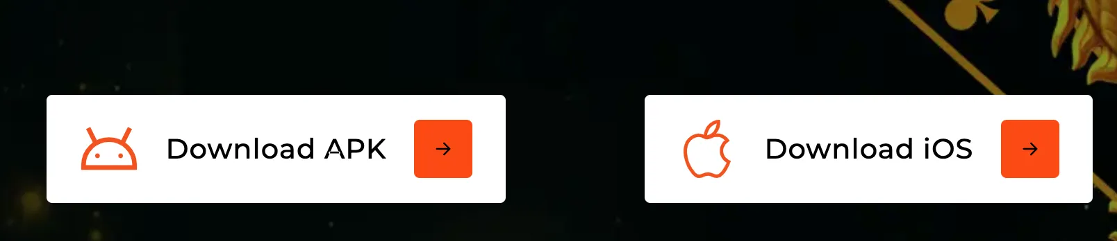 Dragon Tiger mobile app